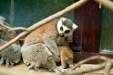 Thumbnail img_1711.jpg 