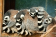 Thumbnail img_1714.jpg 
