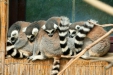 Thumbnail img_1716.jpg 