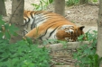 Thumbnail img_1729.jpg 