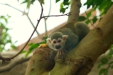 Thumbnail img_1744.jpg 