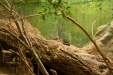 Thumbnail img_1753.jpg 