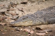 Thumbnail img_1759.jpg 