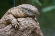 Thumbnail img_1763.jpg 