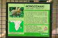 Thumbnail img_1774.jpg 