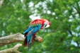 Thumbnail img_1776.jpg 