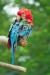 Thumbnail img_1779.jpg 