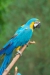 Thumbnail img_1783.jpg 