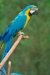 Thumbnail img_1784.jpg 