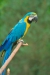 Thumbnail img_1787.jpg 