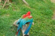 Thumbnail img_1788.jpg 
