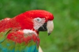 Thumbnail img_1789.jpg 