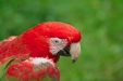 Thumbnail img_1790.jpg 