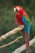 Thumbnail img_1793.jpg 