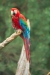 Thumbnail img_1797.jpg 