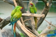 Thumbnail img_1799.jpg 