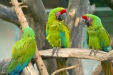 Thumbnail img_1810.jpg 