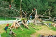 Thumbnail img_1811.jpg 