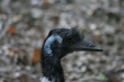 Thumbnail img_3802.jpg 