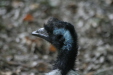 Thumbnail img_3803.jpg 