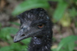 Thumbnail img_3805.jpg 