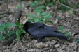 Thumbnail img_3807.jpg 
