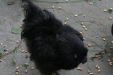 Thumbnail img_3820.jpg 