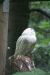 Thumbnail img_3833.jpg 