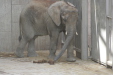 Thumbnail img_3834.jpg 