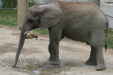 Thumbnail img_3838.jpg 