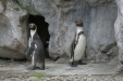 Thumbnail img_3839.jpg 