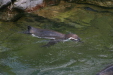 Thumbnail img_3841.jpg 
