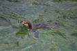 Thumbnail img_3842.jpg 