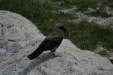 Thumbnail img_3843.jpg 