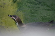 Thumbnail img_3846.jpg 