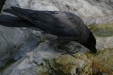 Thumbnail img_3853.jpg 