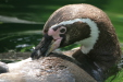 Thumbnail img_3857.jpg 