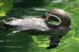 Thumbnail img_3859.jpg 