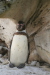 Thumbnail img_3860.jpg 