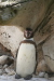 Thumbnail img_3861.jpg 