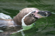 Thumbnail img_3865.jpg 