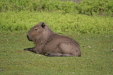 Thumbnail img_3876.jpg 