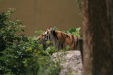 Thumbnail img_3878.jpg 