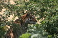 Thumbnail img_3880.jpg 