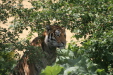 Thumbnail img_3881.jpg 