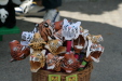 Thumbnail img_3885.jpg 