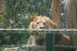 Thumbnail img_3886.jpg 