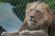 Thumbnail img_3891.jpg 