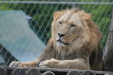 Thumbnail img_3892.jpg 