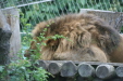 Thumbnail img_3894.jpg 